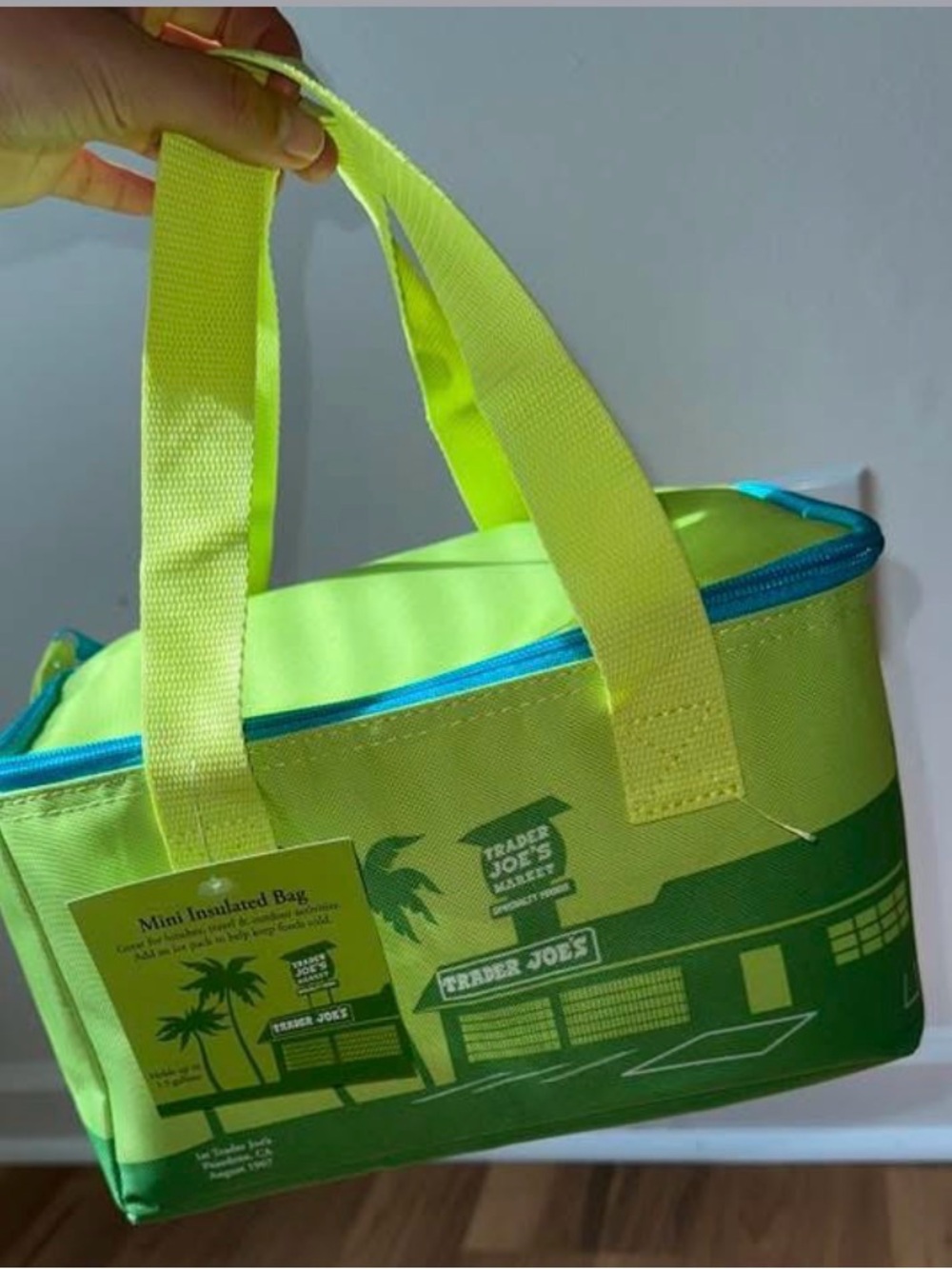 Trader Joe's Lime Green Insulated Mini Tote Bag
